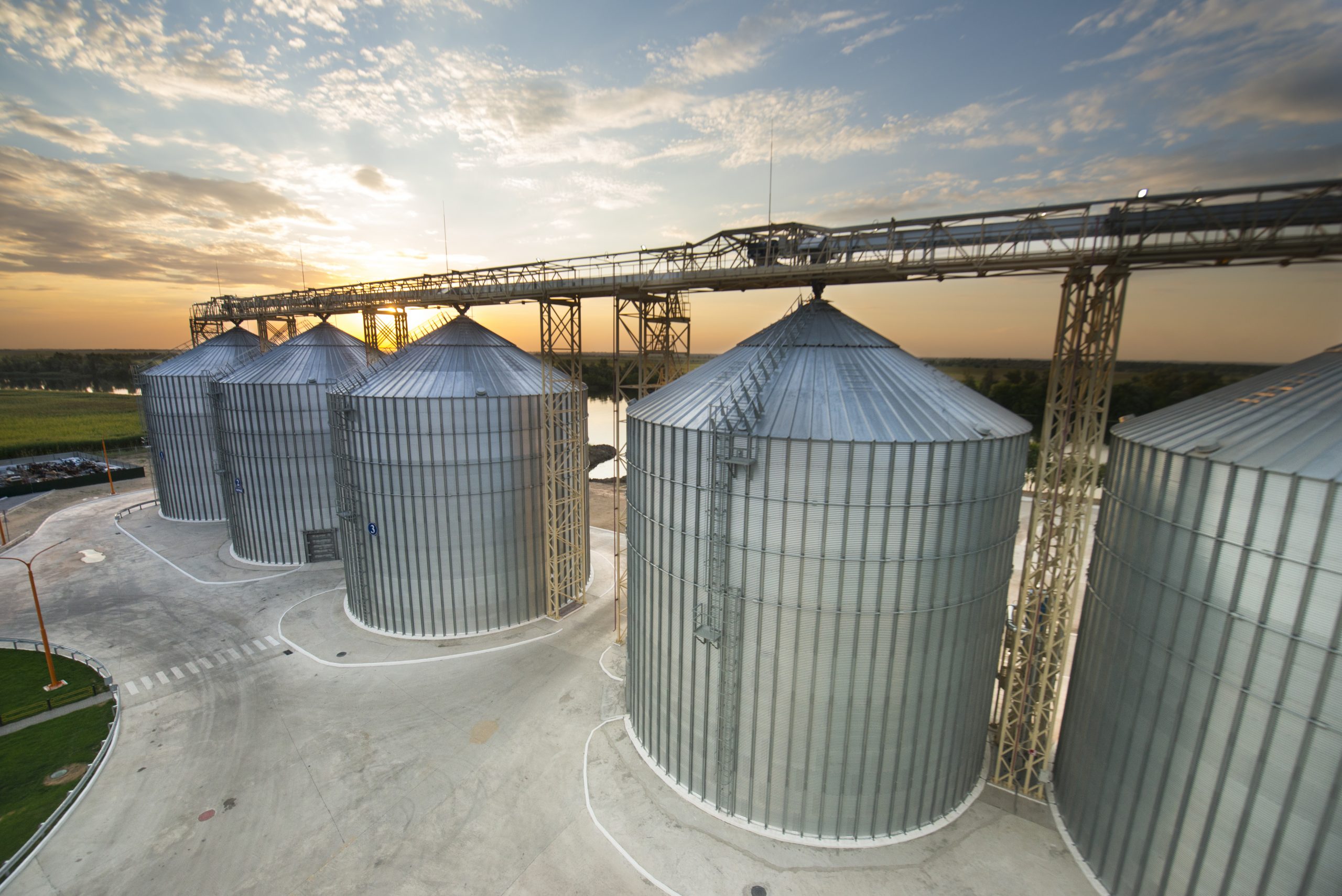 New rules for grain exports